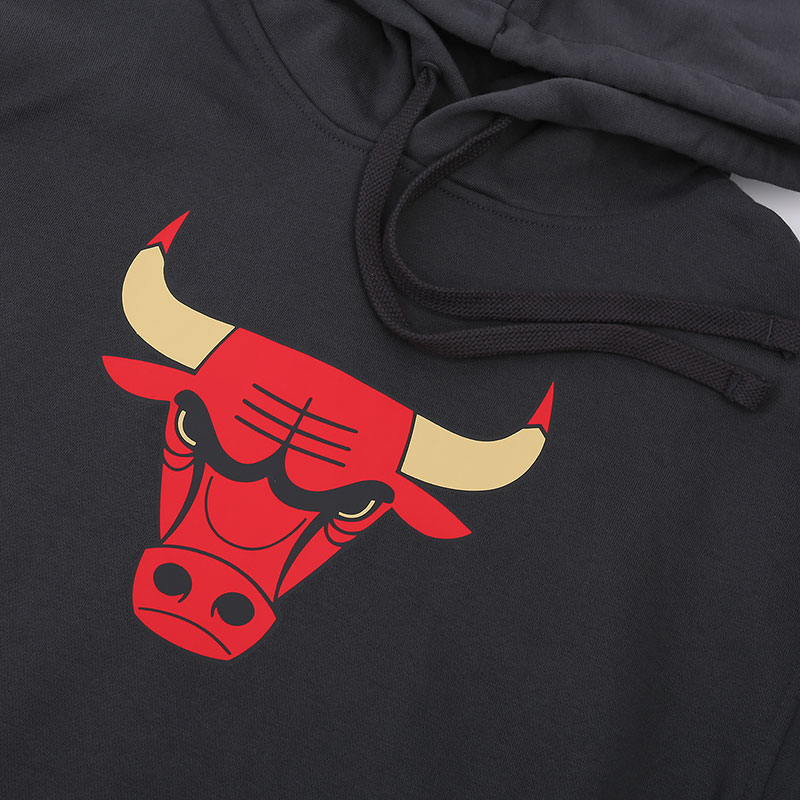 мужская серая толстовка Nike NBA Chicago Bulls City Edition Logo Hoodie CN2534-060 - цена, описание, фото 2
